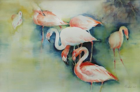 flamingos-2015-38-56-60-proz-